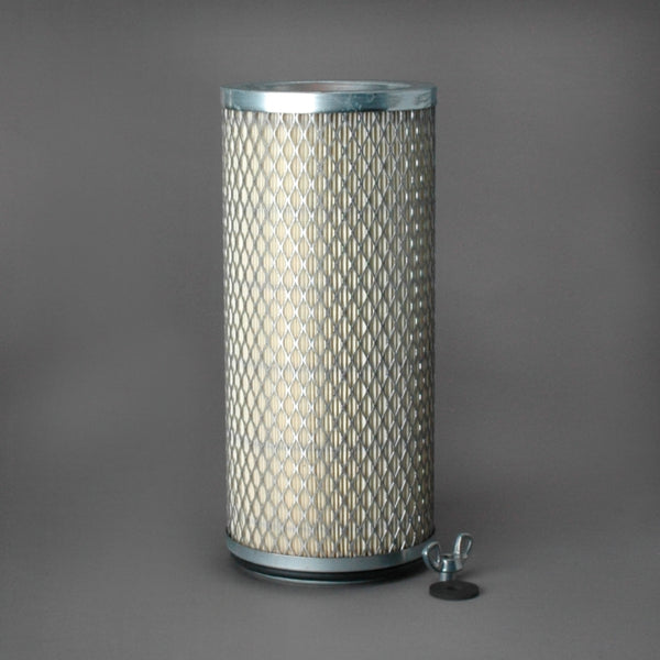 Air Filter P607098