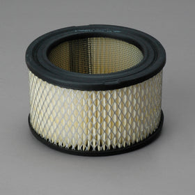 Air Filter P607234