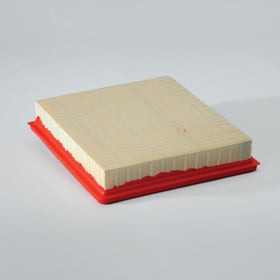 Air Filter P607253