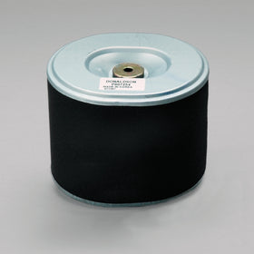 Air Filter P607254