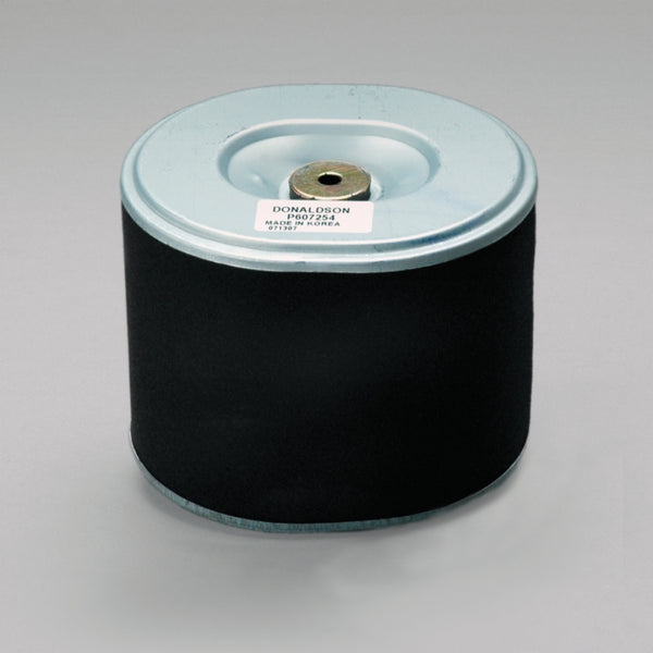 Air Filter P607254