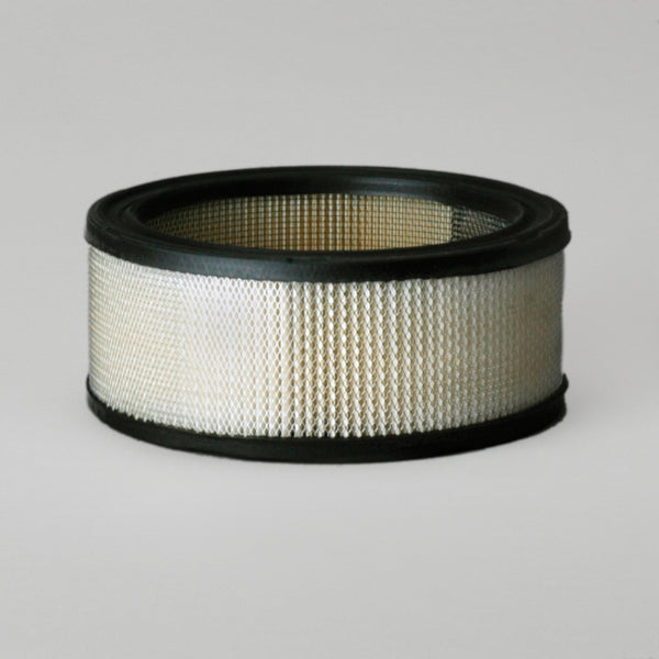 Air Filter P607255