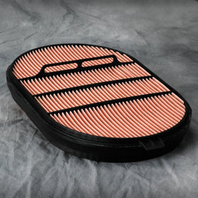 Air Filter P607557