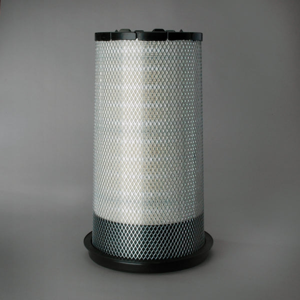 Air Filter P608116