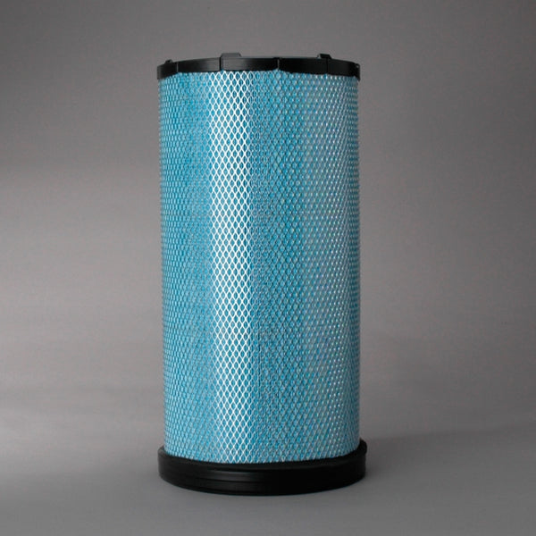 Air Filter P608305