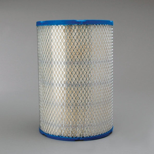 Air Filter P610485