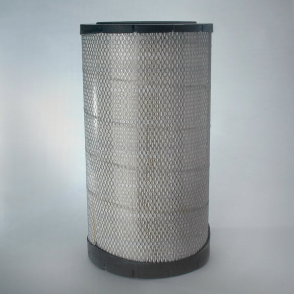 Air Filter P613333