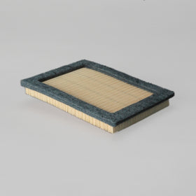 Air Filter P614543