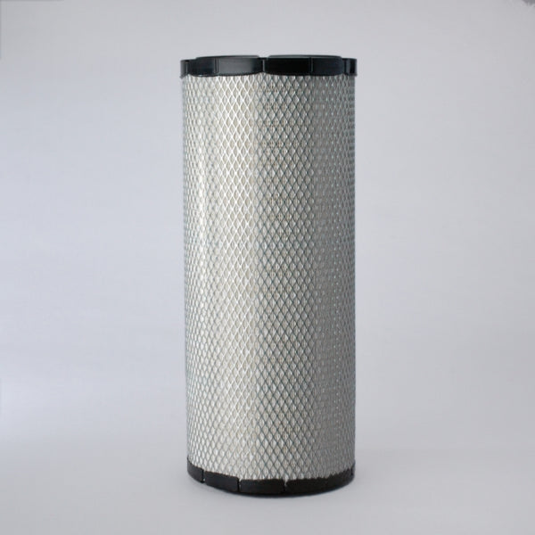 Air Filter P614876