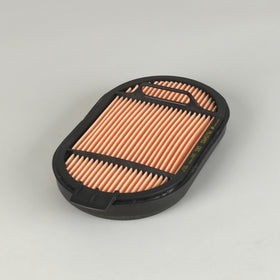 Air Filter P615493