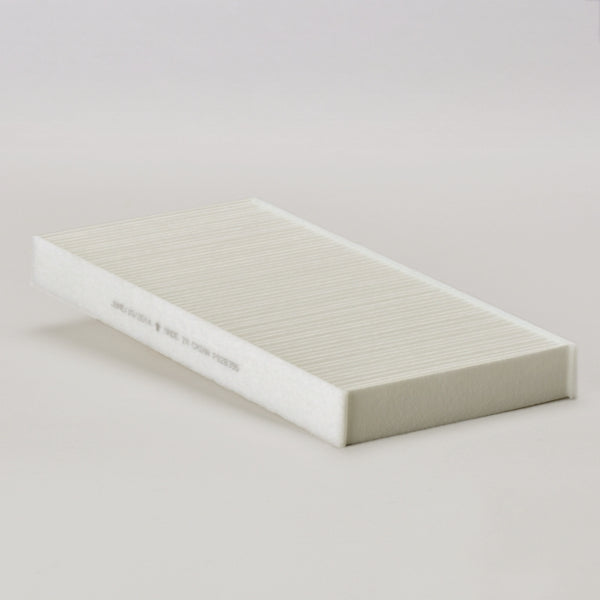 Air Filter P628355