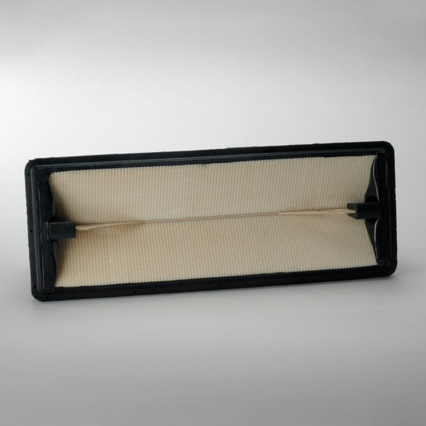 Air Filter P629641