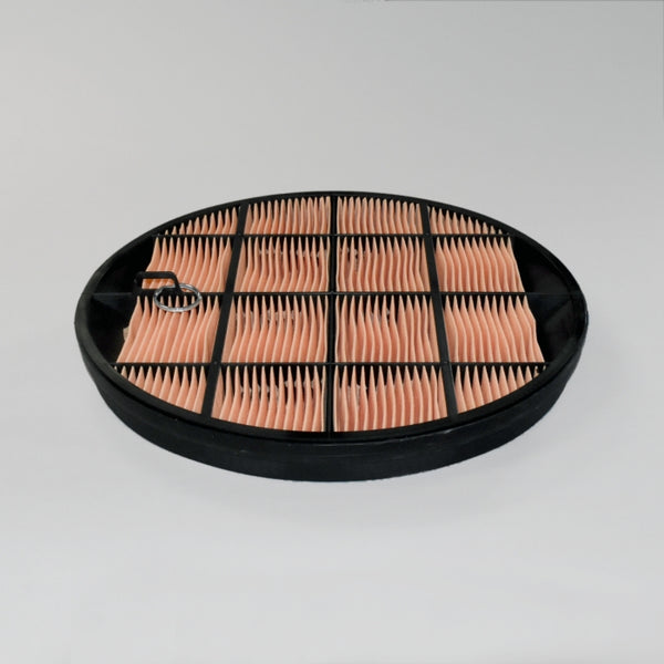 Air Filter P631511