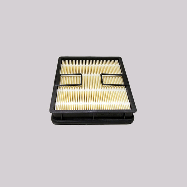 Air Filter P638062