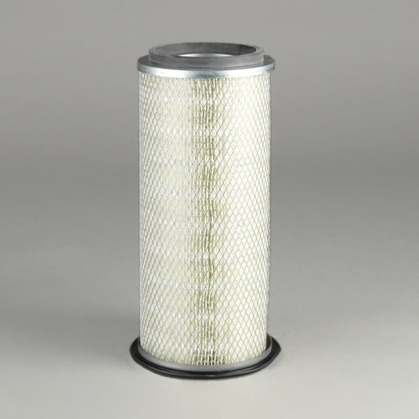 Air Filter P771546