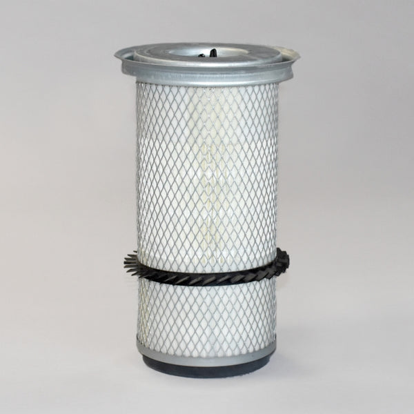 Air Filter P771549