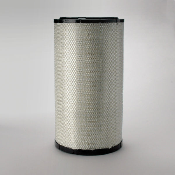 Air Filter P777871