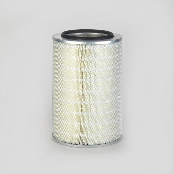 Air Filter P778441