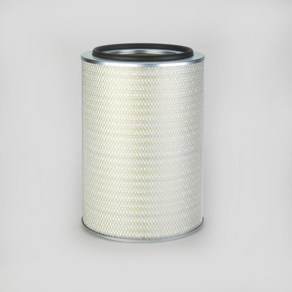 Air Filter P778485