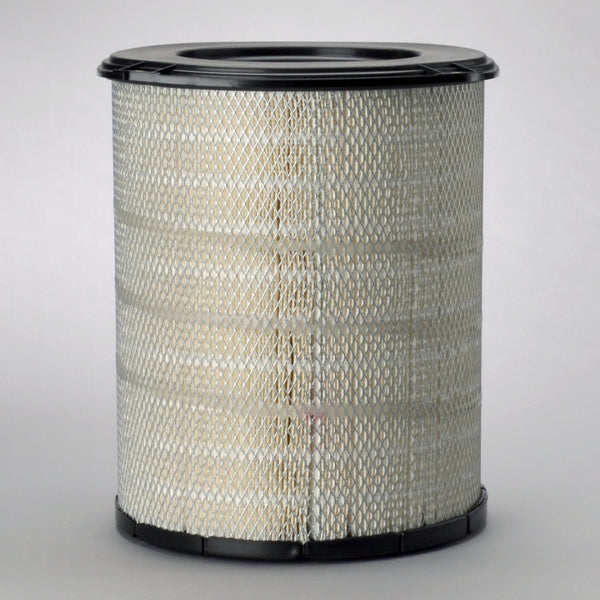 Air Filter P778779