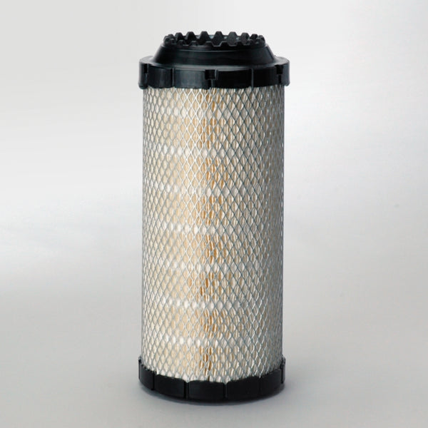 Air Filter P778989