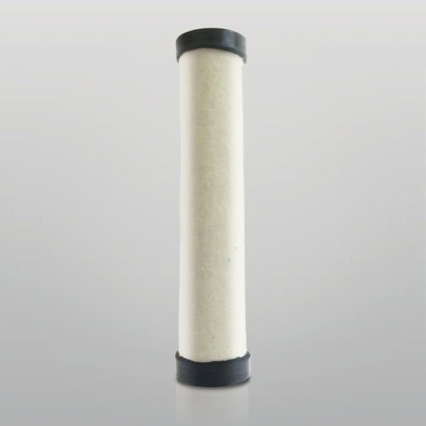 Air Filter P780030