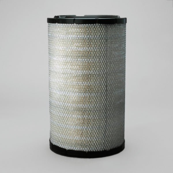 Air Filter P780911