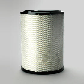 Air Filter P781398