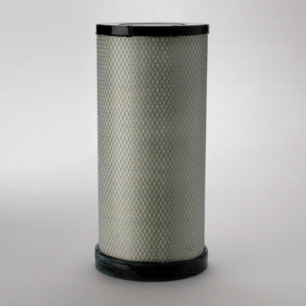 Air Filter P781399