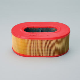 Air Filter P781746