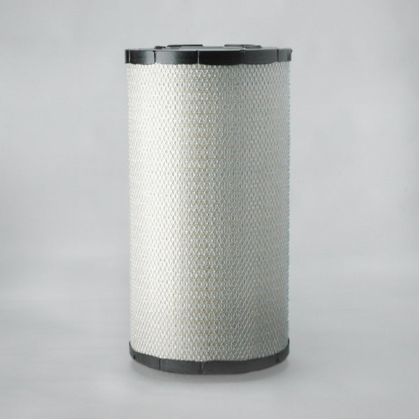 Air Filter P782106