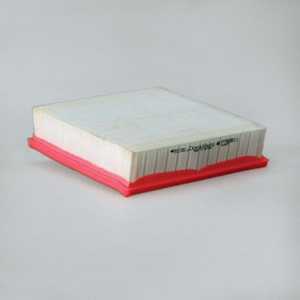 Air Filter P782811