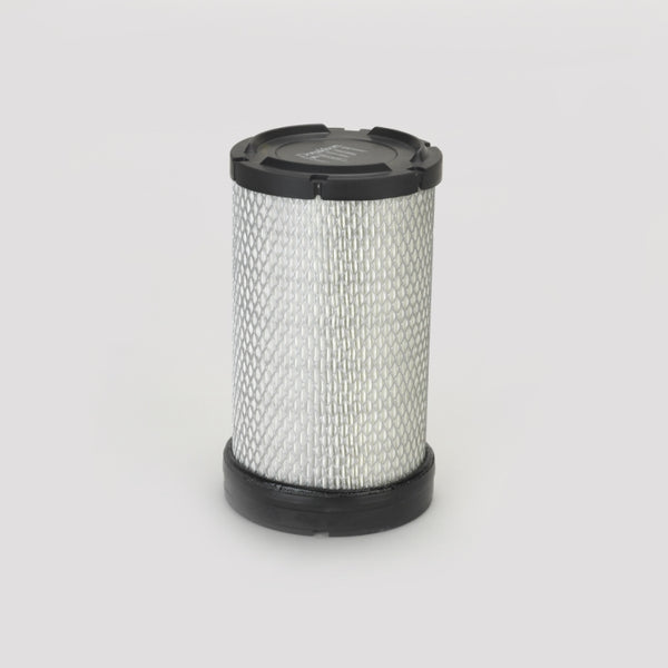 Air Filter P783544