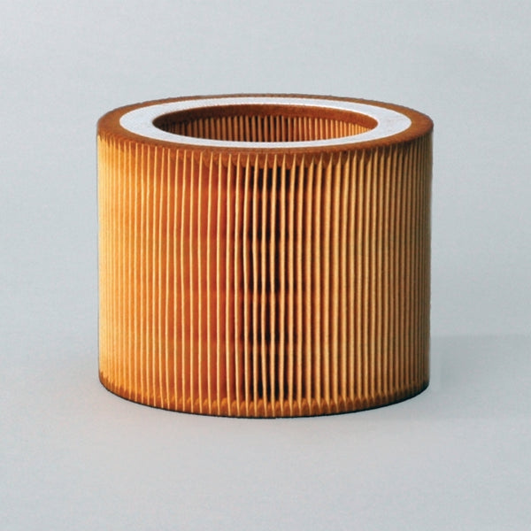 Air Filter P784578