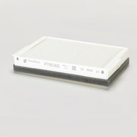 Air Filter P785365