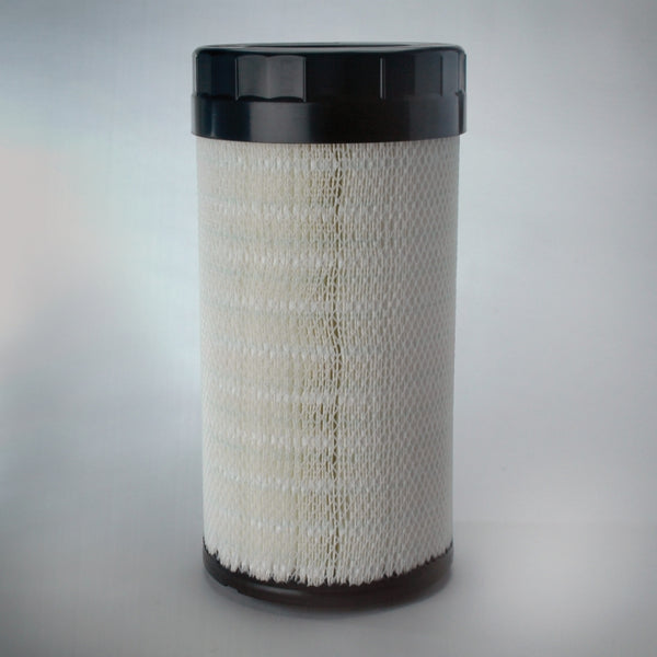 Air Filter P785396