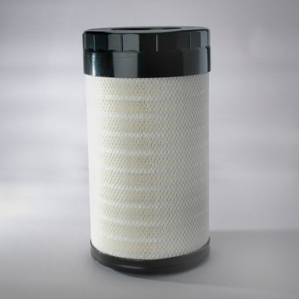 Air Filter P785610