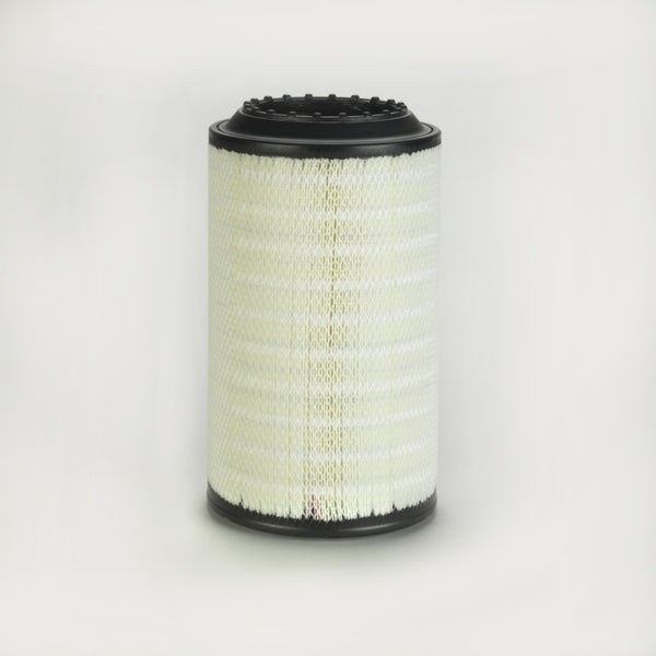 Air Filter P786421