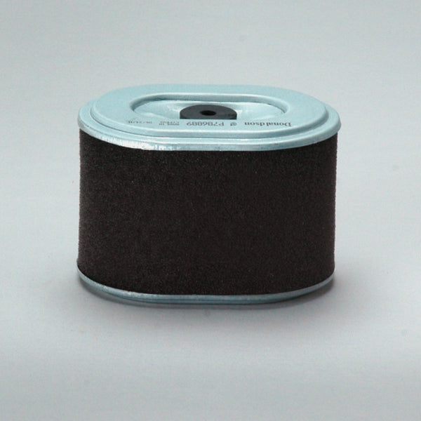 Air Filter P786889