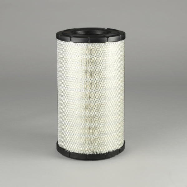 Air Filter P787406