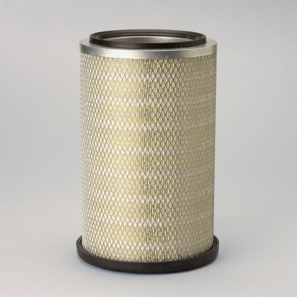 Air Filter P789077