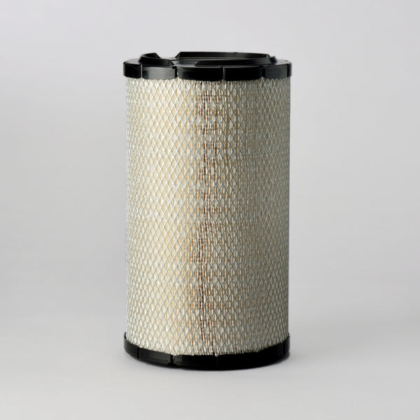 Air Filter P821883